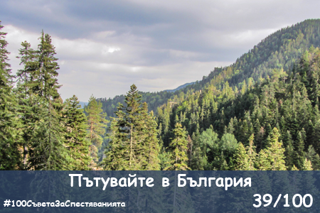 100-saveta-za-spestyavaniyata-39